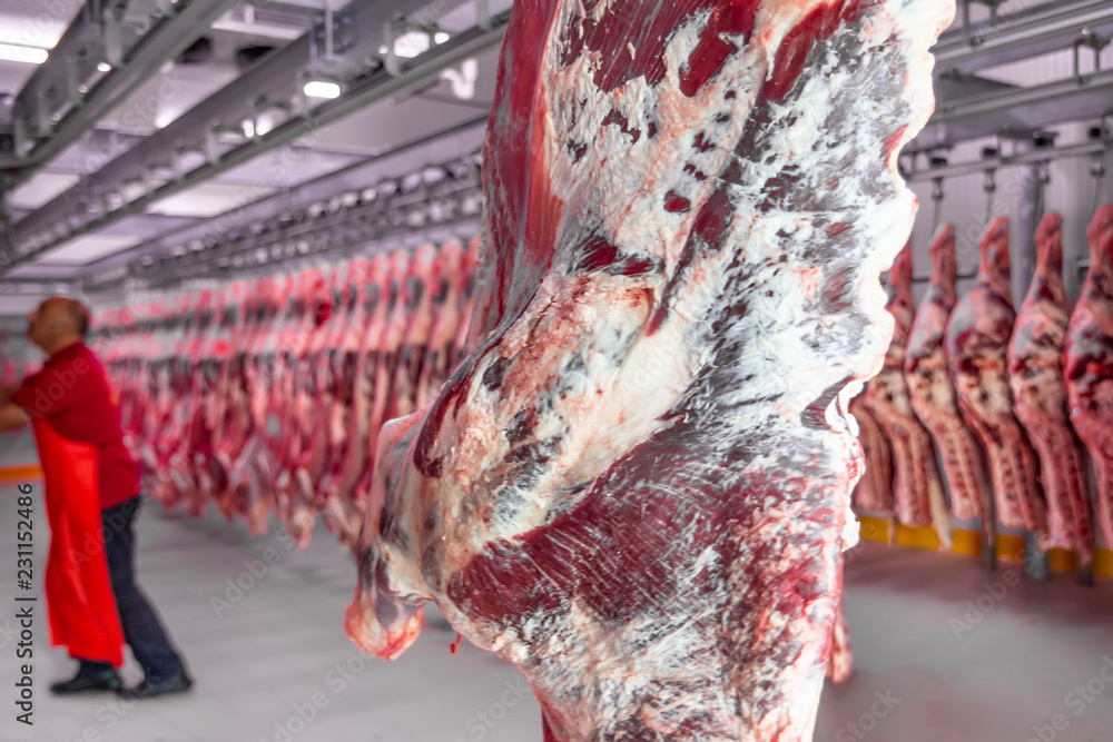 Beef half carcasses hanging on hooks in the slaughterhouse. Meat processing  plant, cutting meat. Stock Photo