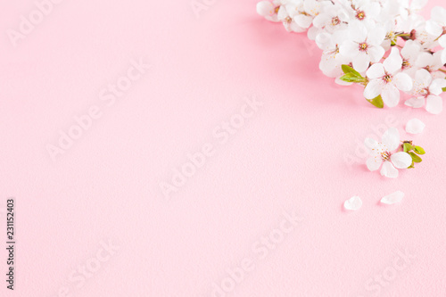 Fresh branches of white lilac on pastel pink background. Soft light color. Greeting card. Mockup for positive ideas. Empty place for inspirational, emotional, sentimental text, quote or sayings.