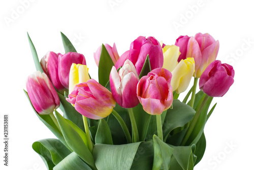 Fototapeta Naklejka Na Ścianę i Meble -  Mix of tulips flowers