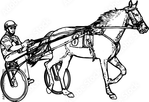 Trotter in harness drawing - vector