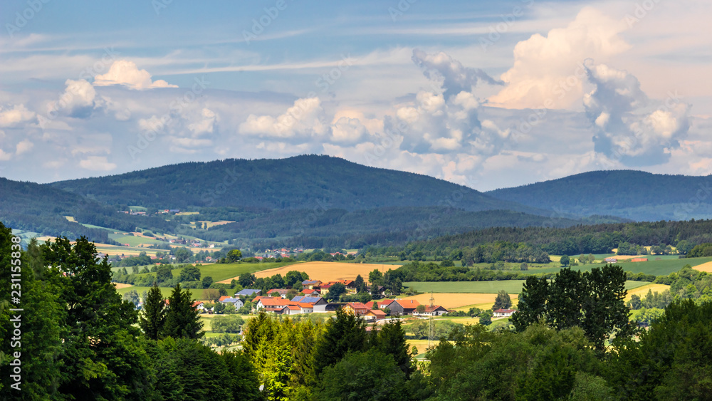 Beautiful view near Chamerau-Bavaria-Germany