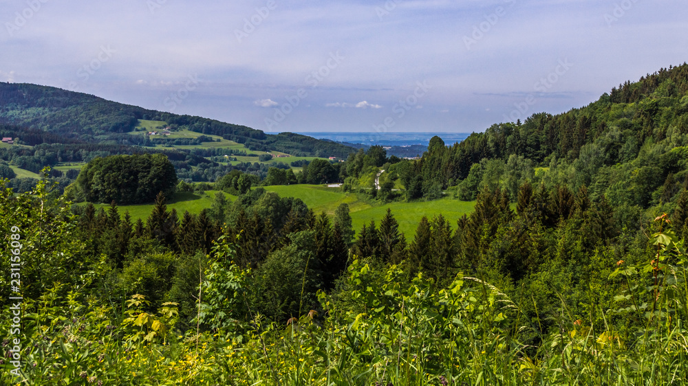 Beautiful view near Allhartsmais-Bavaria-Germany