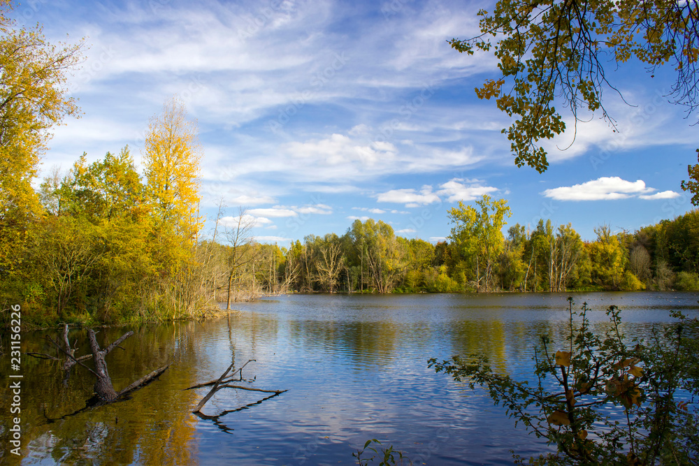 Fototapeta premium nature reserve Bislicher Insel, Lower Rhine Region, Germany