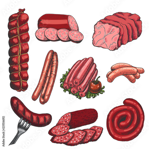 Vector set of different meat products in sketch style. Sausages, ham, salami