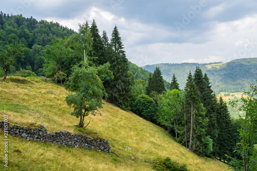 Billede på lærred Germany, Steep mountainous tree covered nature landscape of black forest