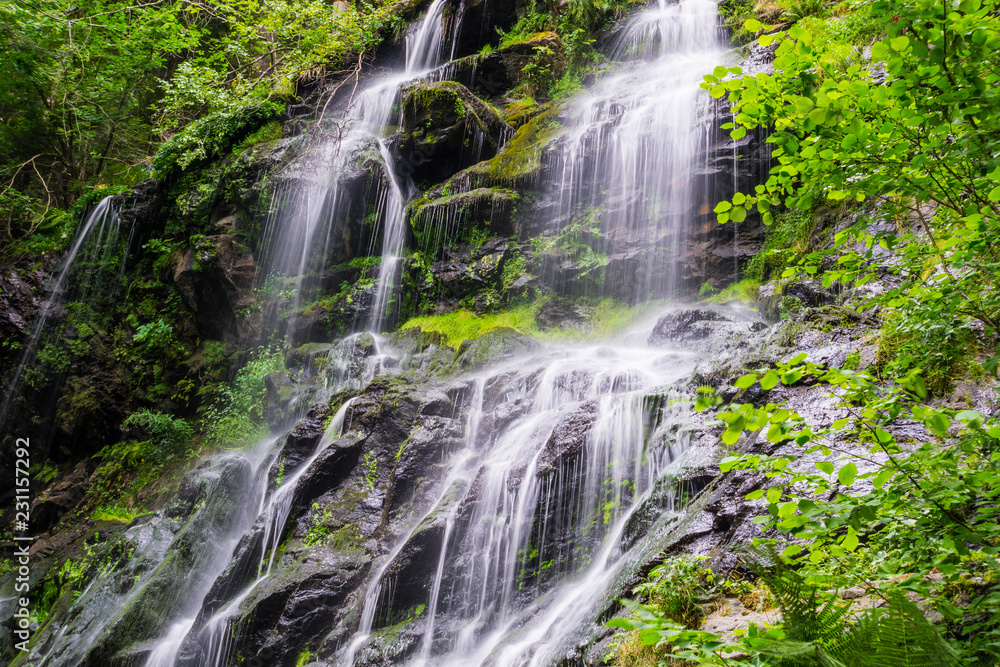 Obraz premium Germany, Zweribach waterfall near Simonswald in mystic black forest atmosphere