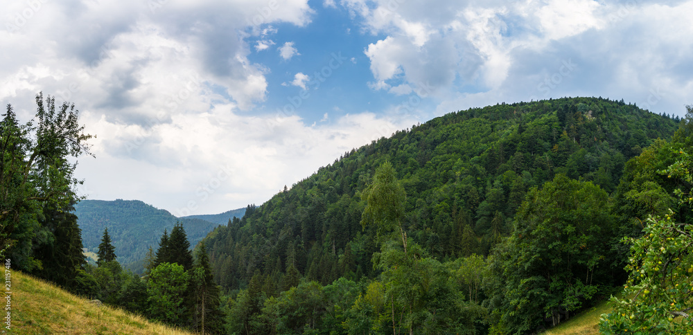 Germany, Black forest hiking panorama near Simonswald in summer