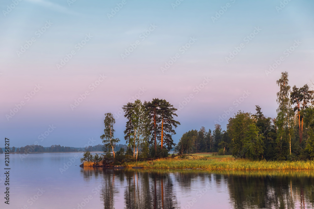 Obraz premium Bright island on a lake with pine trees in morning light
