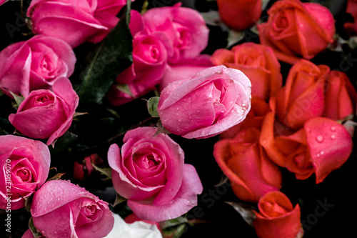 Fototapeta Naklejka Na Ścianę i Meble -  bouquet of pink roses