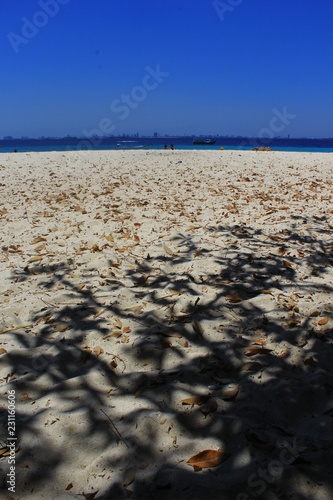  White sand beach