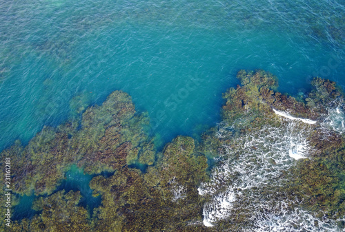 Coral Reef aerial view   Dominica  Caribbean