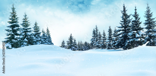 Beautiful winter landscape with snow covered trees.Christmas background