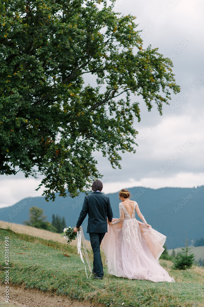 Φωτογραφία Beautifull wedding couple kissing and embracing near the shore of a mountain riv