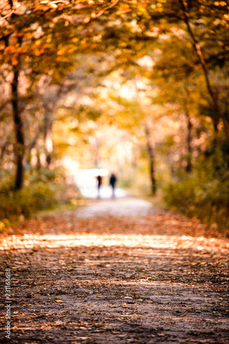 Two blurred people walking in the distance with beautiful fall autumn colors on a wooded path and light coming through the trees.