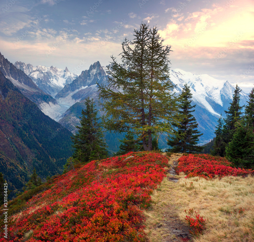 Red autumn Chamonix in the Alps