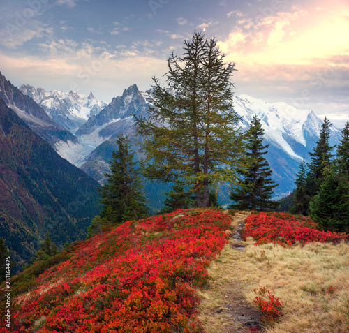 Obraz na płótnie Red autumn Chamonix in the Alps w salonie