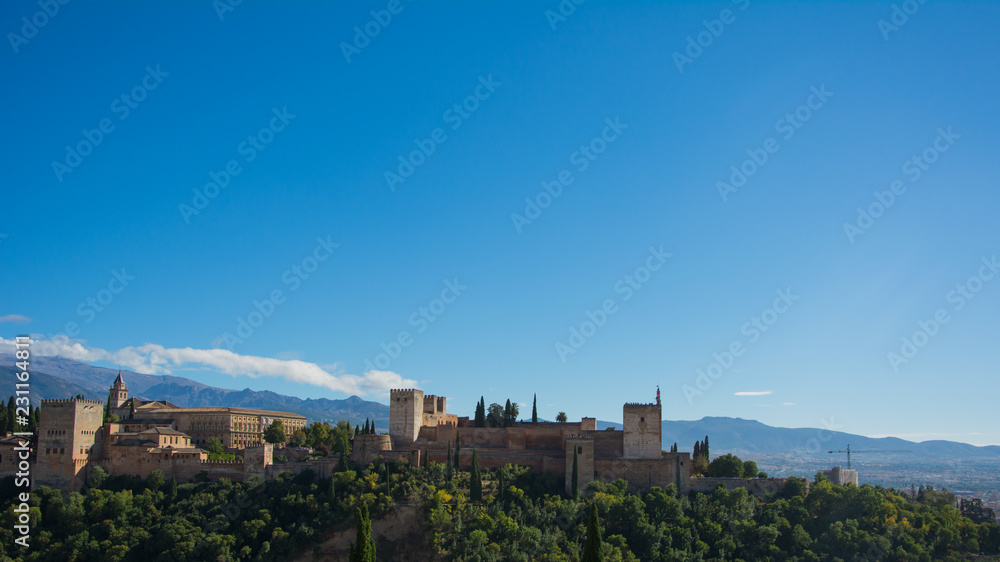 Alhambra from Above
