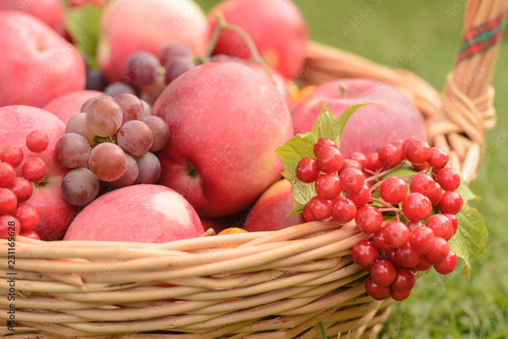 a rich harvest a rich harvest