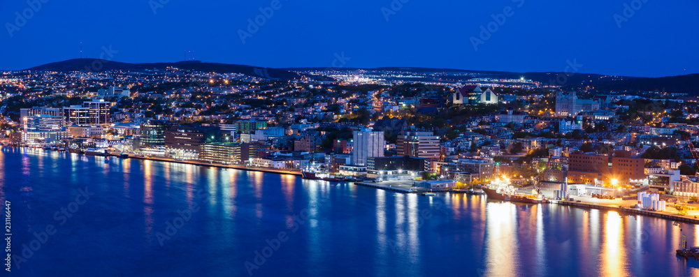 Naklejka premium Panorama of St. John's at night