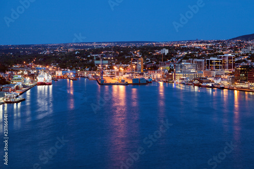 Panorama of St. John's at night © Henryk Sadura