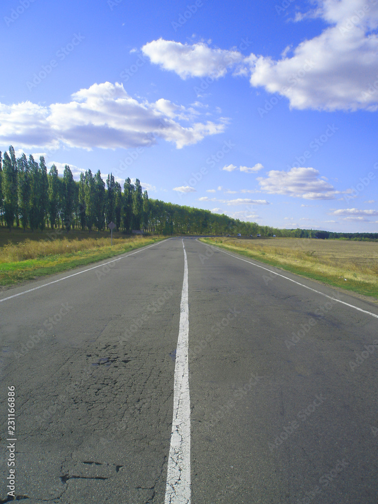 Fototapeta premium white dividing strip along the road