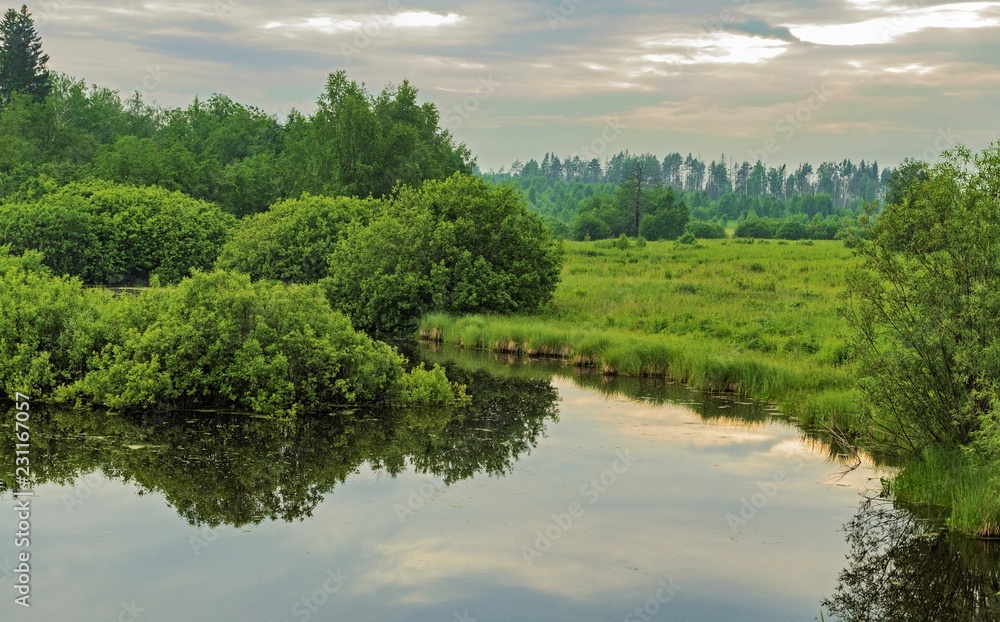 landscape with river and trees