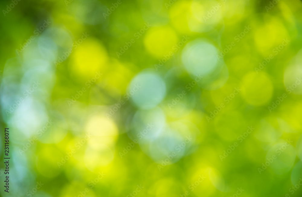 Natural blurred background. Natural blurred background.