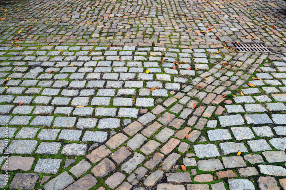 Fototapeta premium Pavement road with cobblestones and moss, traversed diagonally