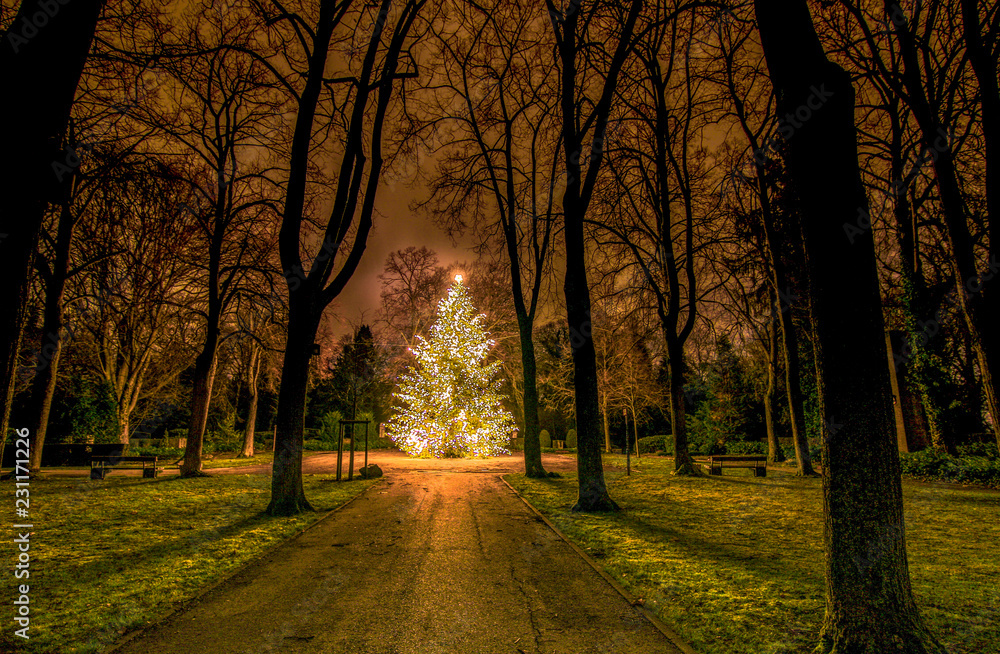 Naklejka premium Weihnachtsbaum in Pforzheim
