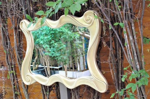 The mirror reflects the green tree in the garden.