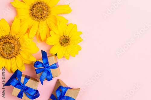 Fototapeta Naklejka Na Ścianę i Meble -  Greeting card with yellow sunflowers and gift boxes with blue ribbons on pink background.