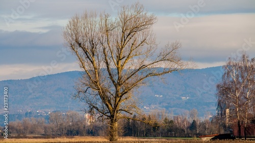 Beautiful view near Moos-Bavaria-Germany