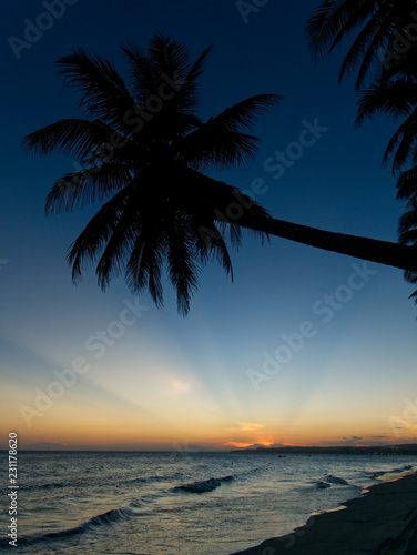 Sunset with silhouettes of palm trees over South China sea