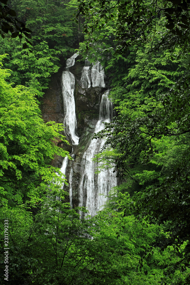 Obraz premium waterfall Güzeldere 