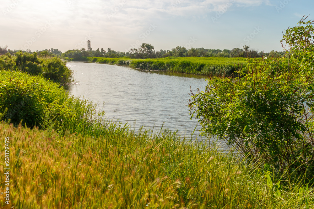 The calm lowland river and lush vegetation on banks The calm lowland river and lush vegetation on banks