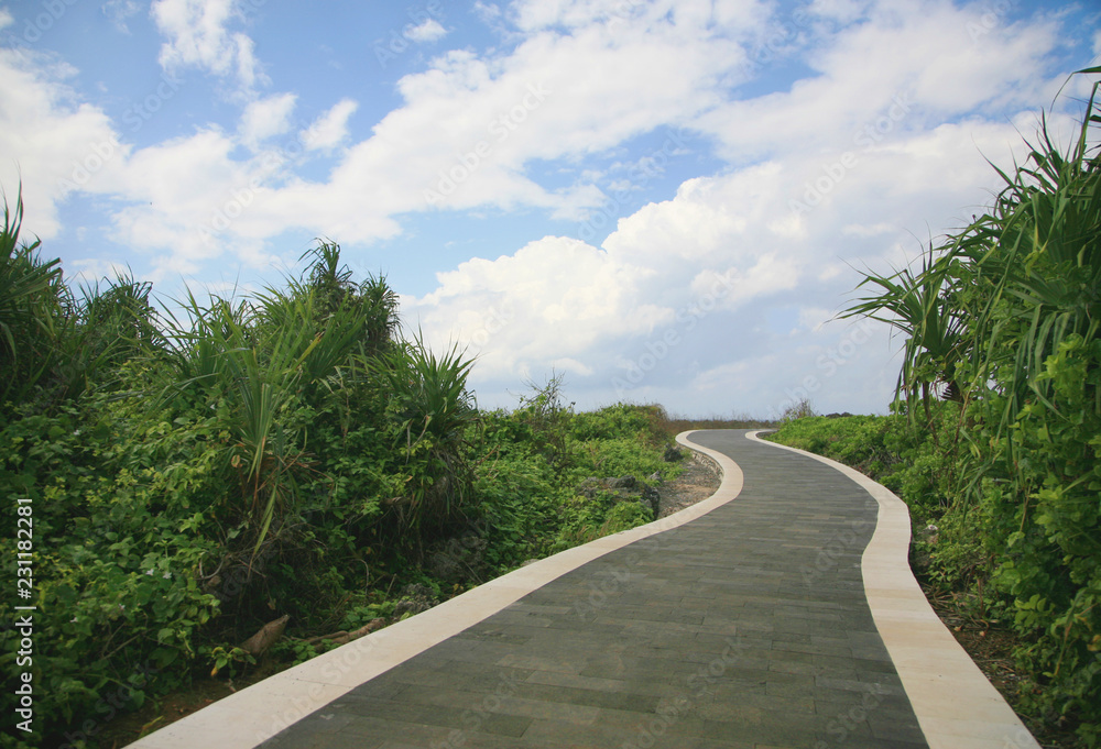 Empty asphalt road leading to the horizon / life goals / unusual concept Empty asphalt road leading to the horizon / life goals / unusual concept
