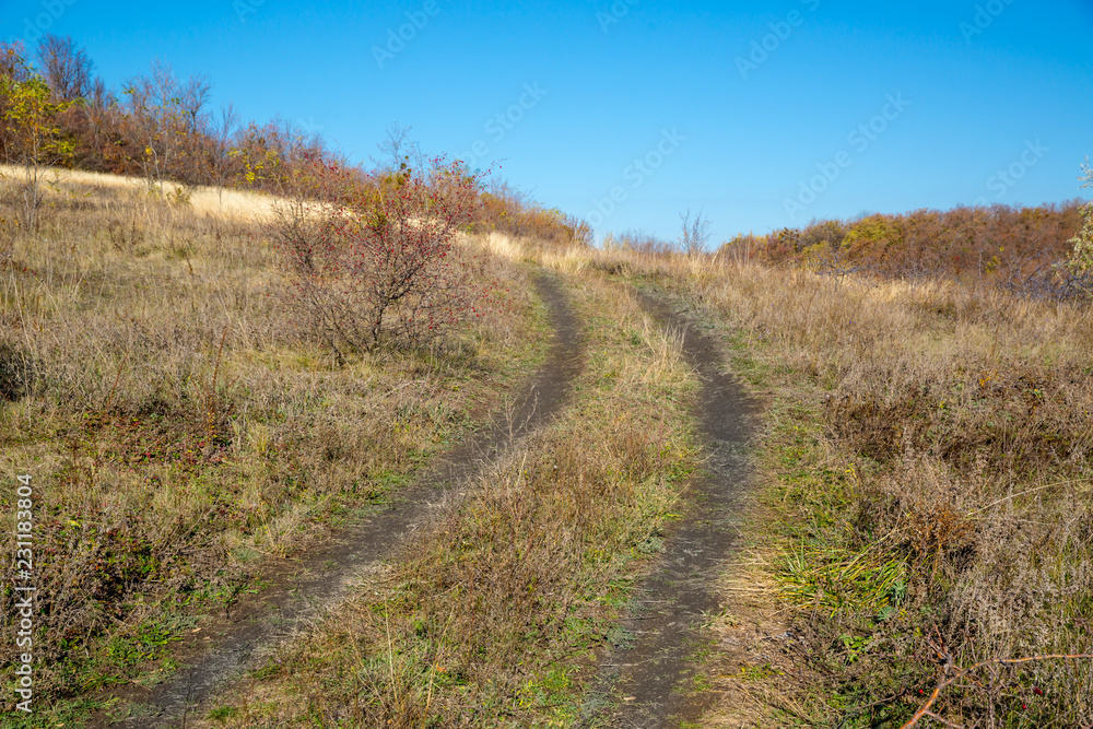 Dirt road on the autumn slope of a ravine