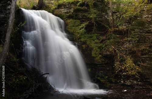 waterfall in the forest