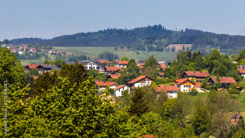 Beautiful view near Regen-Bavaria-Germany - obrazy, fototapety, plakaty 