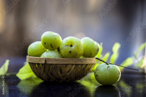 Close up of organic raw Indian gooseberry or amla or Ribes uva-crispa in a vegetable and fruit basket made up of bamboo on wooden surface with some leaves of Rangoon's creeper.