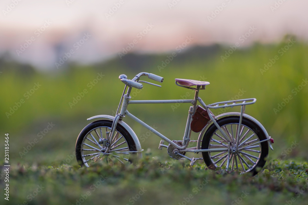 Fototapeta premium White bike in the field with the evening sky.