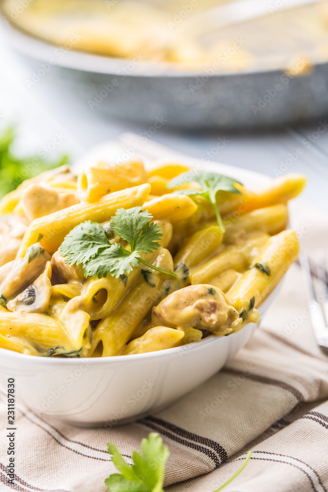 Foto Stock Pasta pene with chicken pieces mushrooms parmesan cheese sauce  and herb decoration. Pene con pollo - Italian or medierranean cuisine