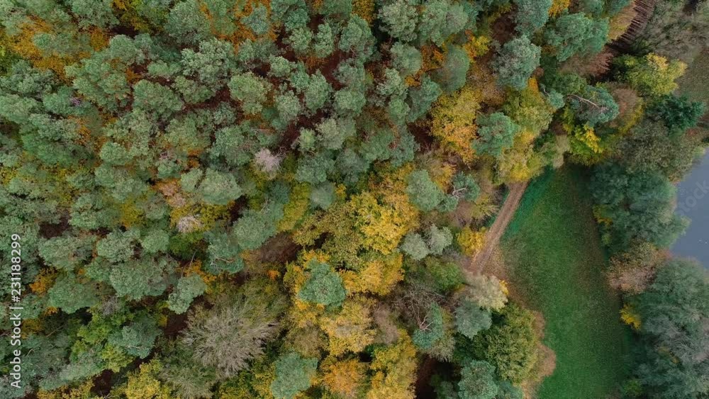 Small pond in the forest - aerial view Small pond in the forest - aerial view
