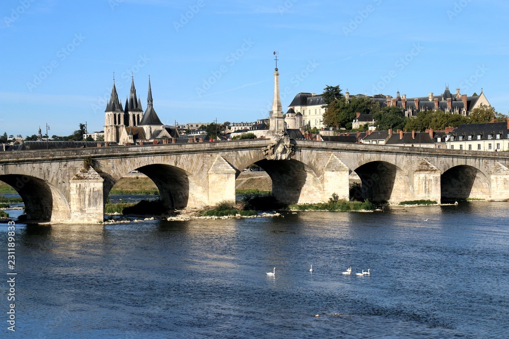 Fototapeta premium Jacques Gabriel bridge, Blois, Loire, chapel, St Nicholas Cathedral, river, 