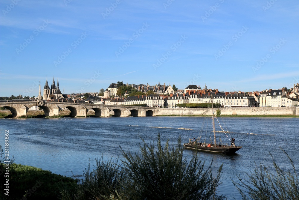 Fototapeta premium Jacques Gabriel bridge, Blois, Loire, chapel, St Nicholas Cathedral, river, boat, architecture, building, castle, old, cathedral, medieval, city, landmark, religion, historic, history, town,