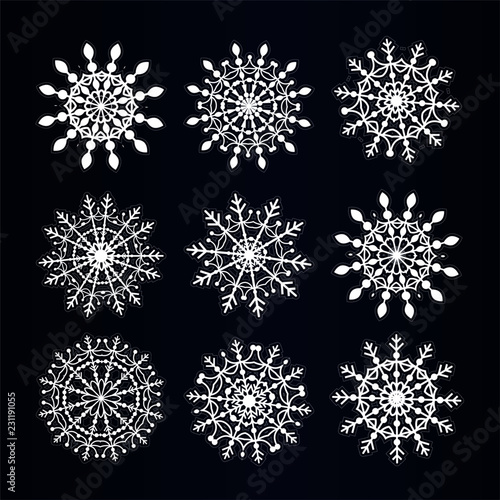Beautiful intricate snowflakes on dark background