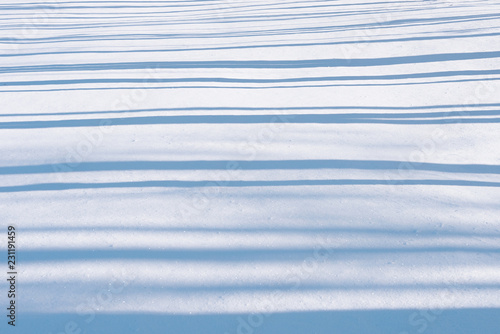 gestreifter Winter Hintergrund - Schneefeld mit Baum Schatten