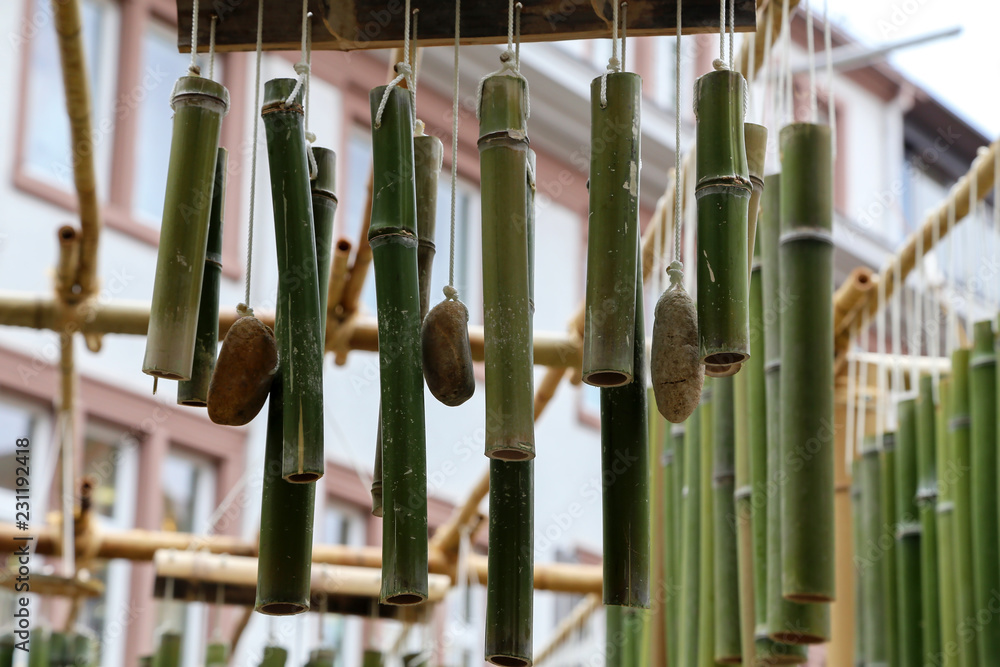 Obraz premium Green bamboo sticks. Green Bamboo tubes hang around the house.
