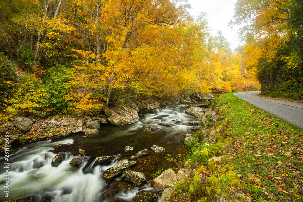 Fototapeta premium Little River Road Smoky Mountains in Fall