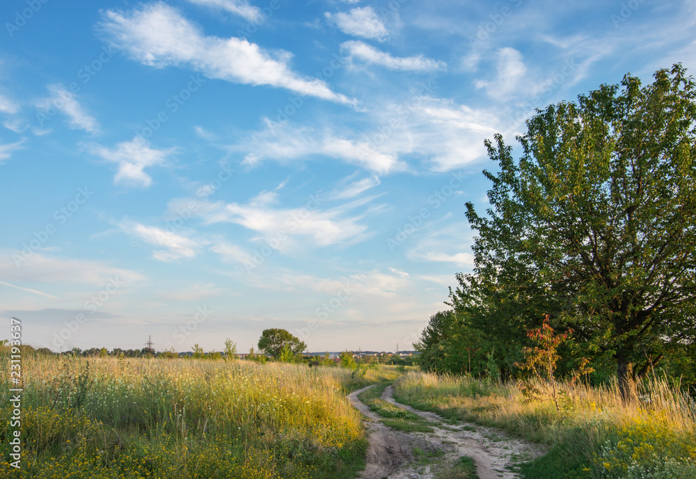 ground road and summer sunny day ground road and summer sunny day